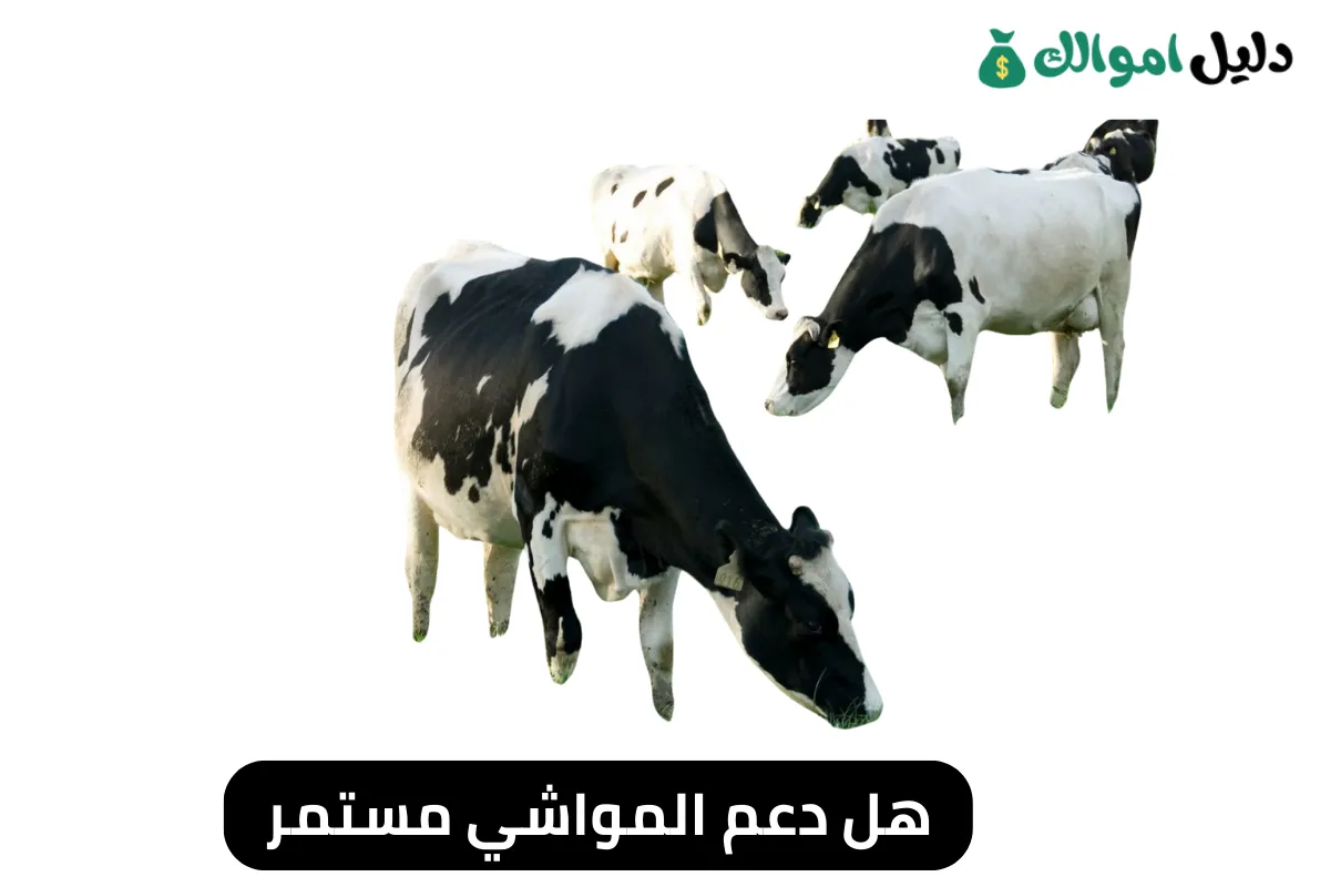 هل دعم المواشي مستمر