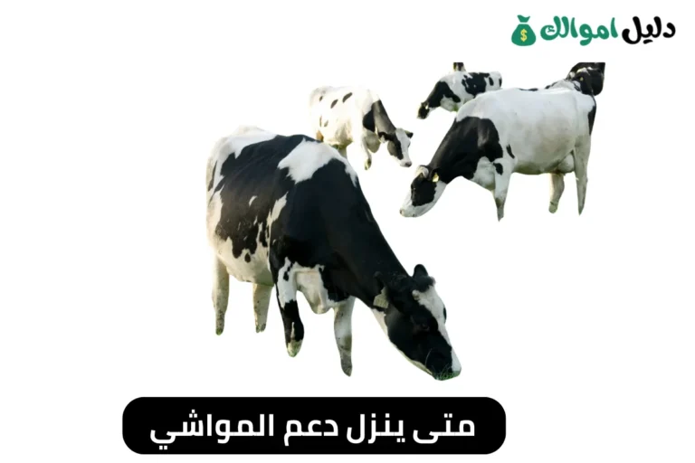 متى ينزل دعم المواشي