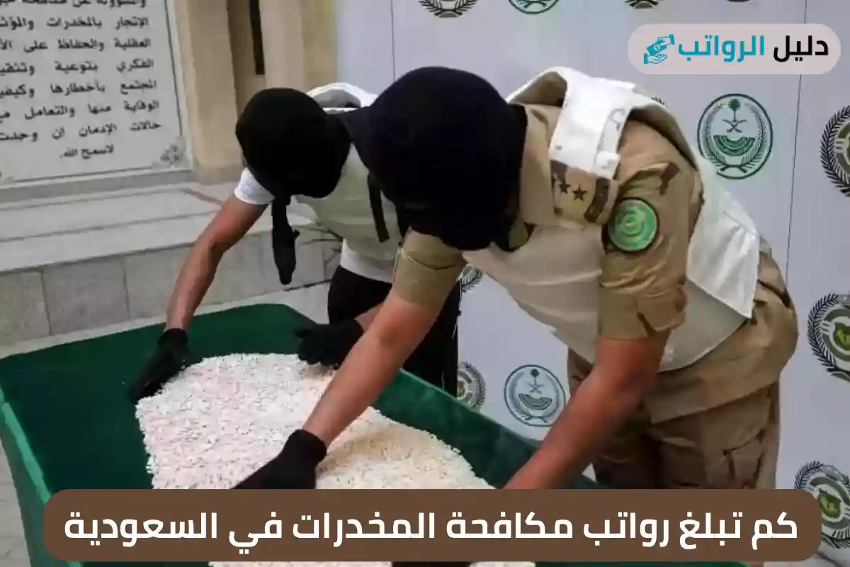 كم تبلغ رواتب مكافحة المخدرات في السعودية