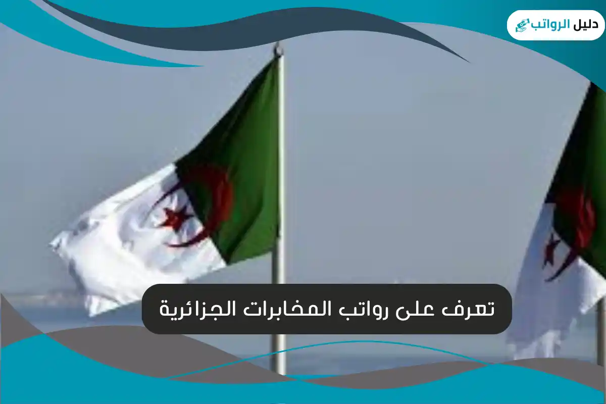 تعرف على رواتب المخابرات الجزائرية