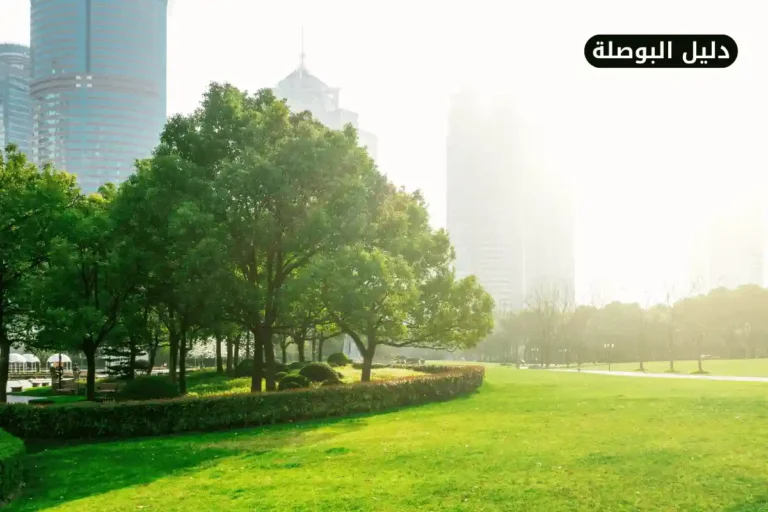 حديقة بدر جسر السويس